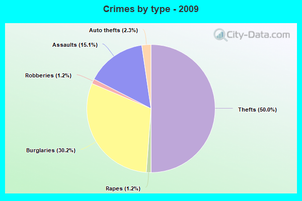 Crimes by type - 2009