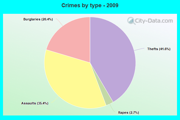 Crimes by type - 2009