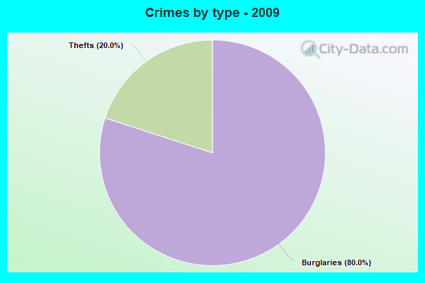 Crimes by type - 2009