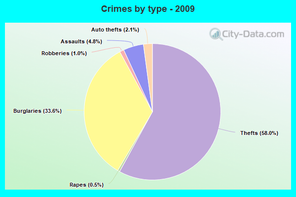 Crimes by type - 2009