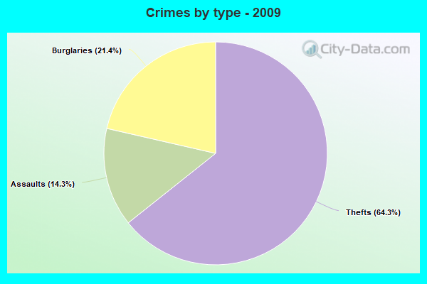 Crimes by type - 2009