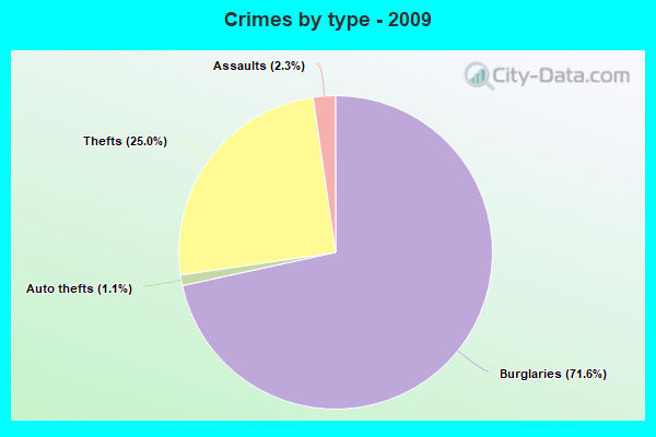 Crimes by type - 2009