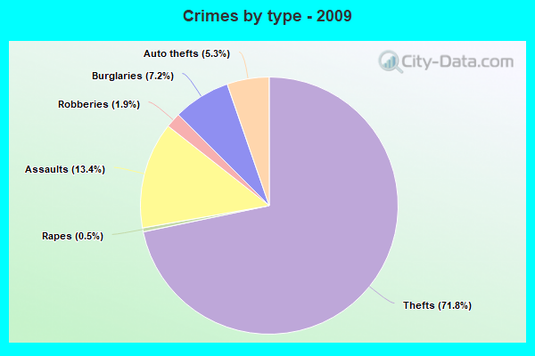 Crimes by type - 2009