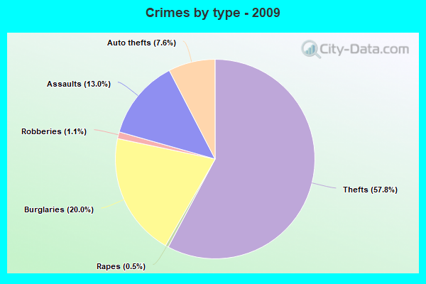 Crimes by type - 2009