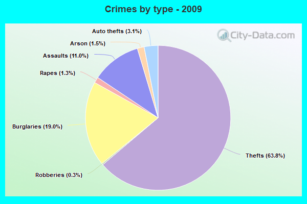 Crimes by type - 2009