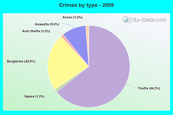 Crimes by type - 2009