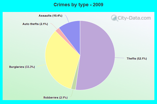 Crimes by type - 2009