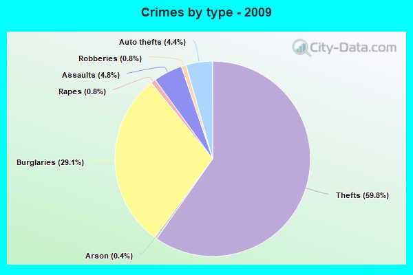 Crimes by type - 2009