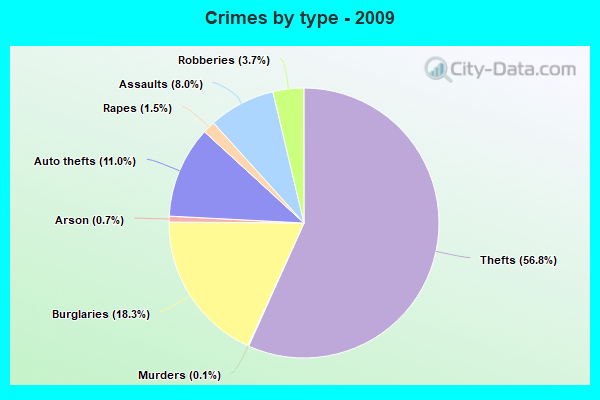 Crimes by type - 2009