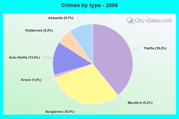 Crimes by type - 2009