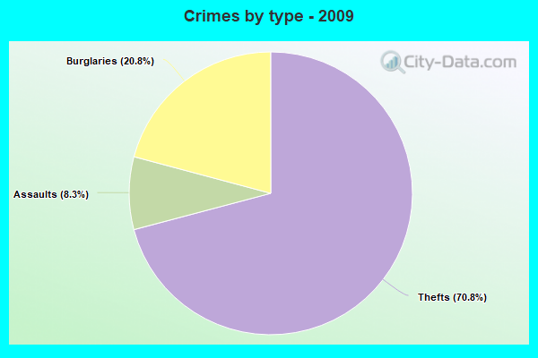 Crimes by type - 2009