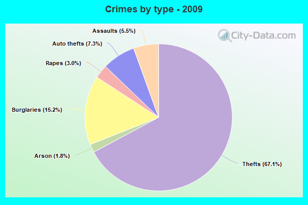 Crimes by type - 2009