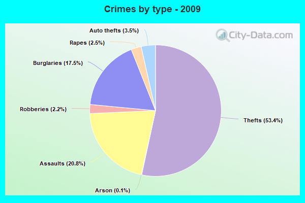 Crimes by type - 2009