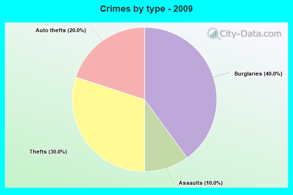 Crimes by type - 2009