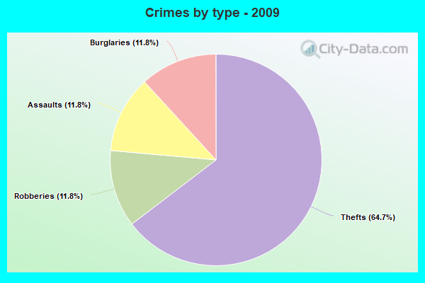 Crimes by type - 2009