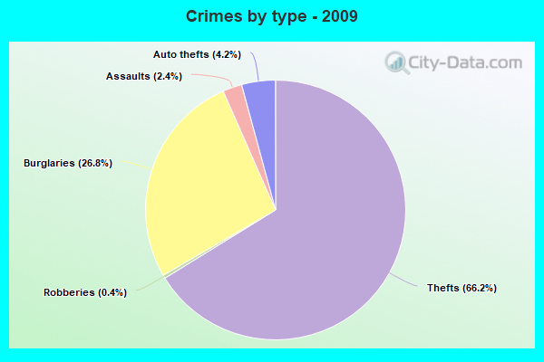 Crimes by type - 2009