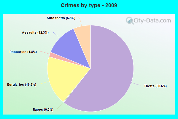 Crimes by type - 2009