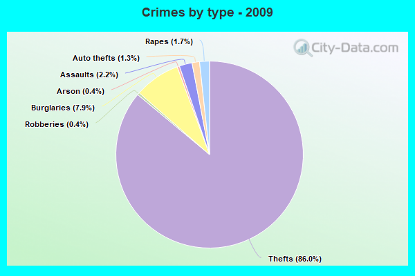 Crimes by type - 2009