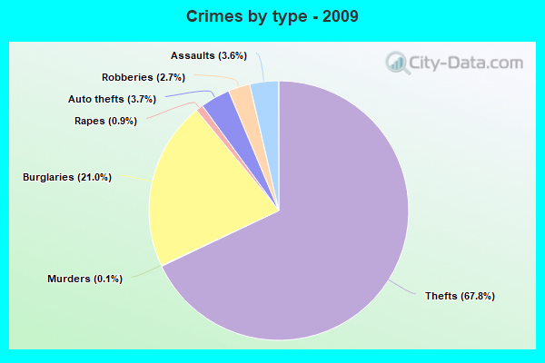 Crimes by type - 2009