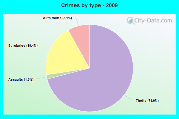 Crimes by type - 2009