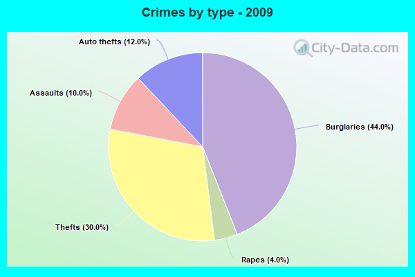 Crimes by type - 2009