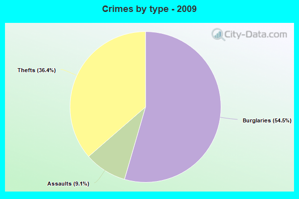 Crimes by type - 2009