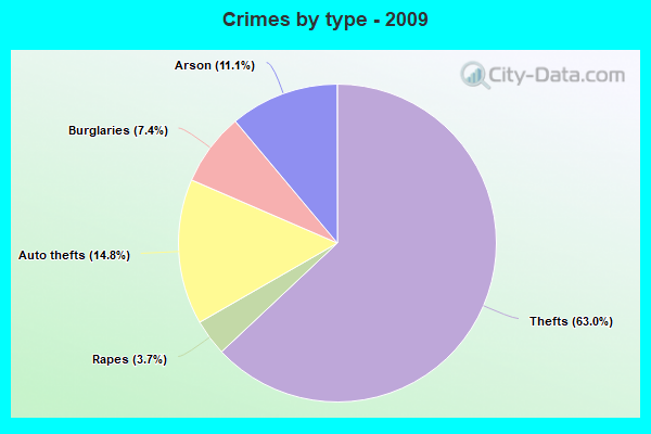 Crimes by type - 2009