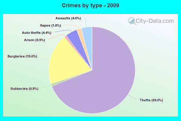 Crimes by type - 2009