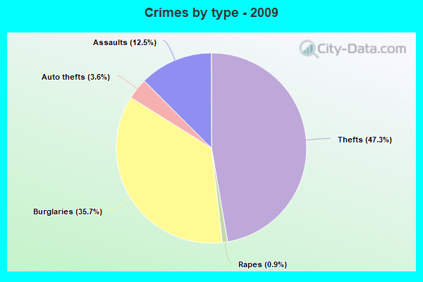 Crimes by type - 2009