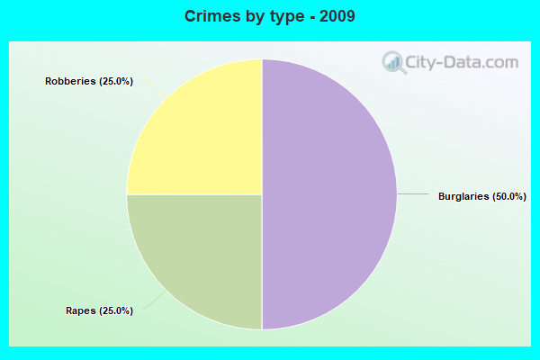 Crimes by type - 2009