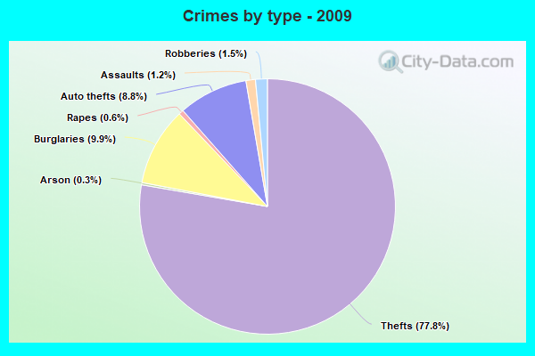 Crimes by type - 2009