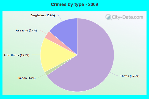 Crimes by type - 2009