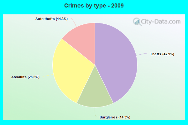 Crimes by type - 2009