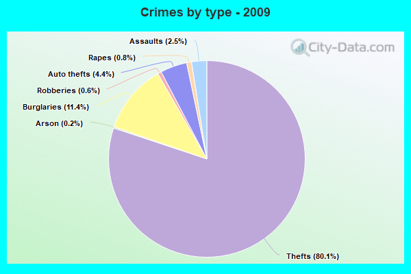 Crimes by type - 2009