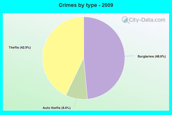 Crimes by type - 2009