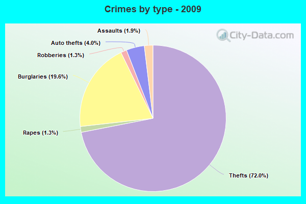 Crimes by type - 2009