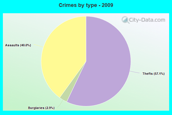 Crimes by type - 2009