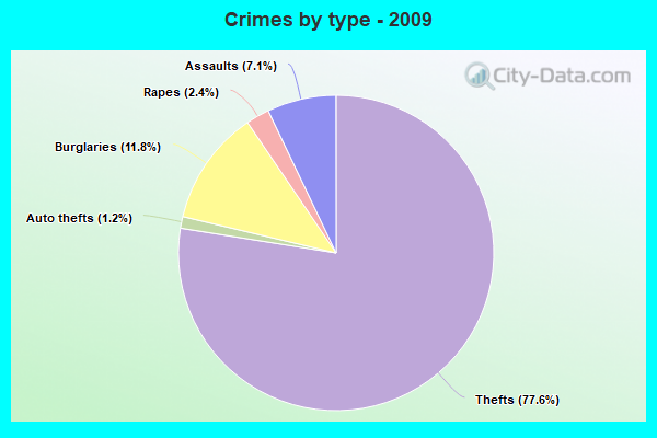 Crimes by type - 2009