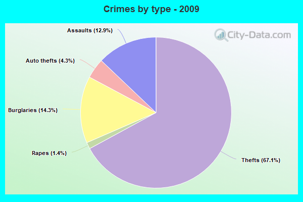 Crimes by type - 2009