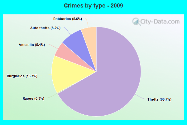 Crimes by type - 2009