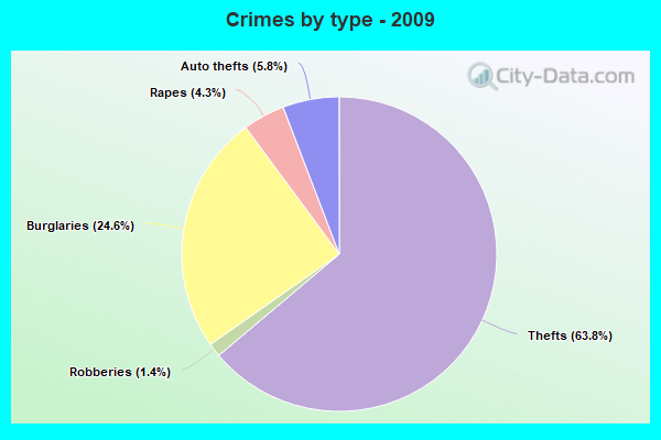 Crimes by type - 2009