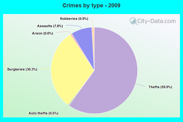 Crimes by type - 2009