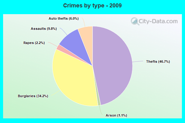 Crimes by type - 2009