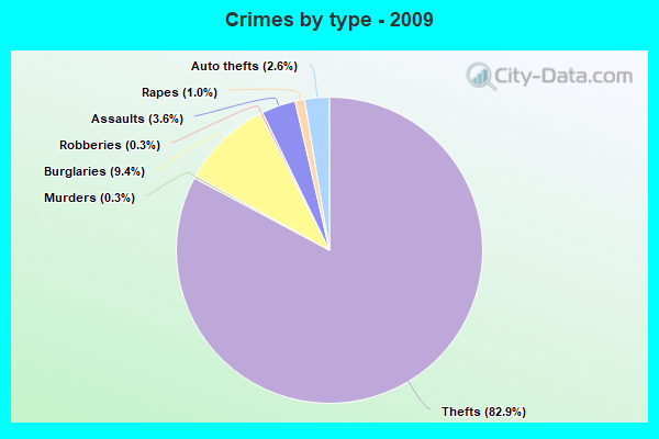 Crimes by type - 2009