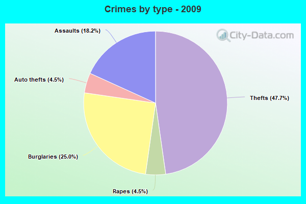 Crimes by type - 2009