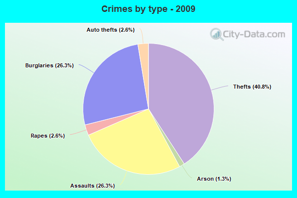 Crimes by type - 2009