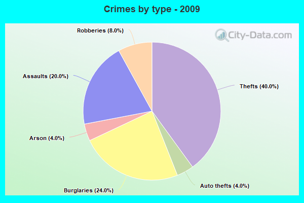 Crimes by type - 2009