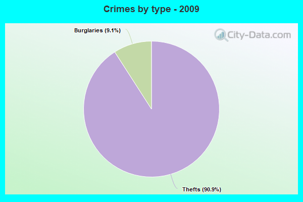 Crimes by type - 2009