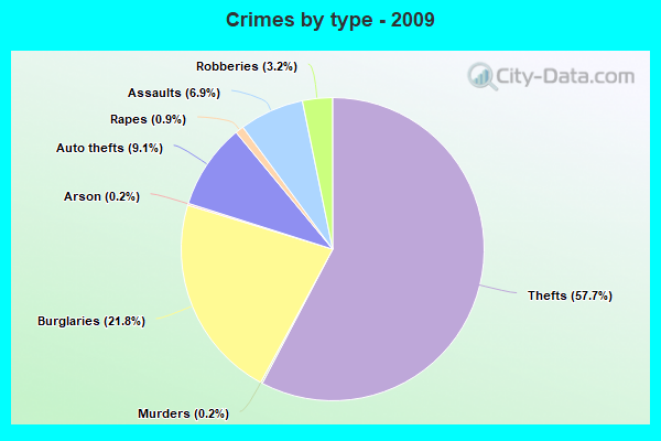 Crimes by type - 2009