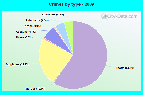 Crimes by type - 2009